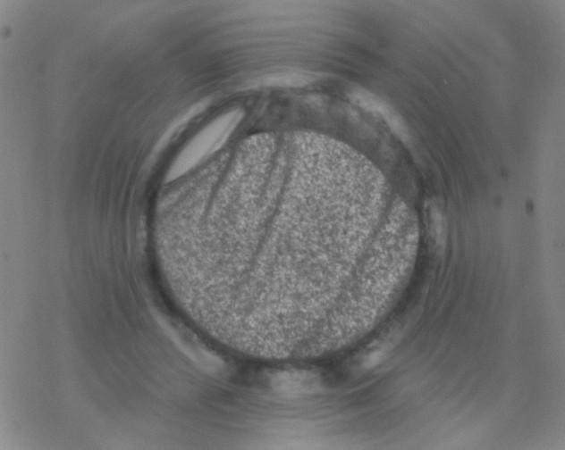 X0000076300400200610271919