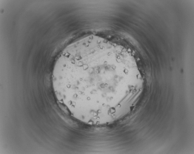 X0000076300401200610271919