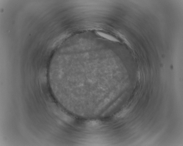 X0000076300402200610271919