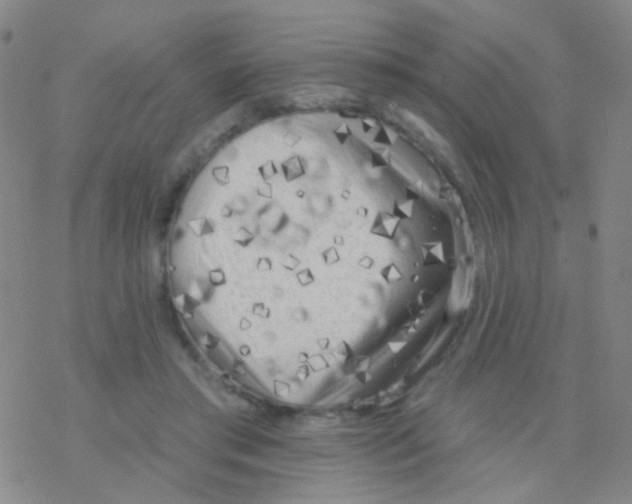 X0000076300405200610271919