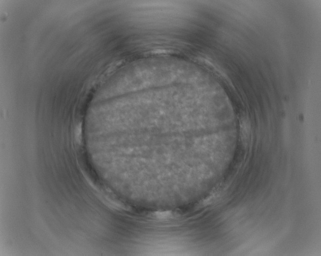 X0000076300406200610271919