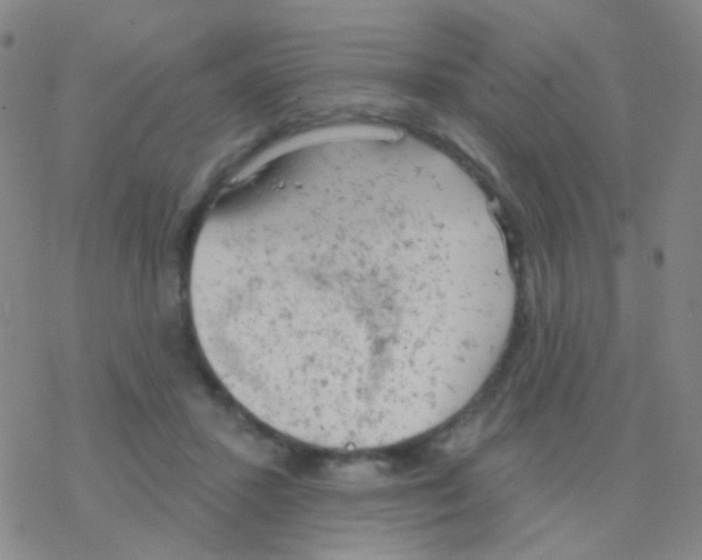 X0000076300407200610271919