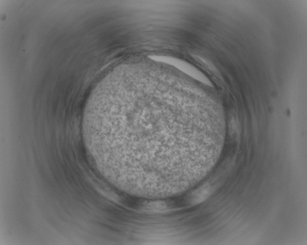 X0000076300409200610271919