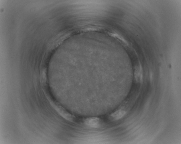 X0000076300410200610271919