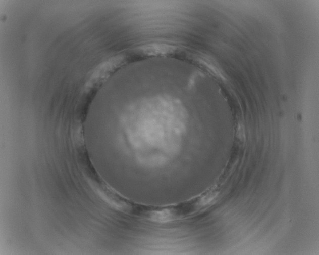 X0000076300411200610271919