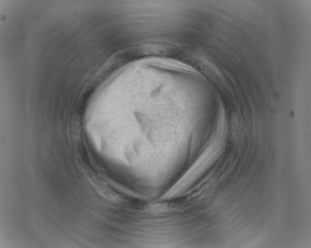 X0000076300413200610271919