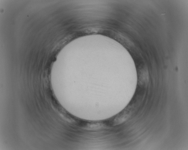 X0000076300414200610271919