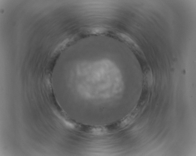 X0000076300415200610271919