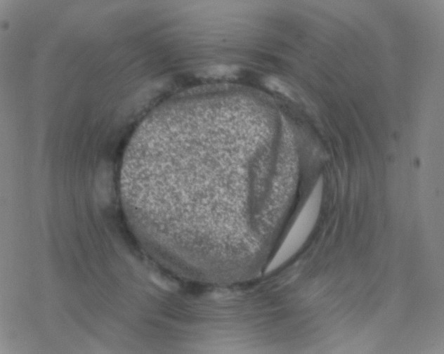 X0000076300416200610271919