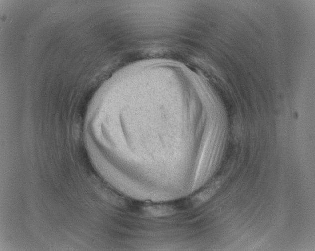 X0000076300417200610271919