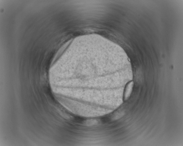 X0000076300418200610271919