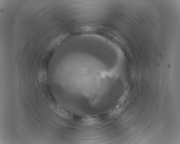 X0000076300419200610271919