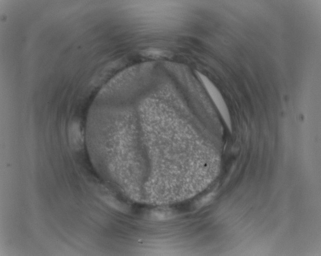 X0000076300420200610271919