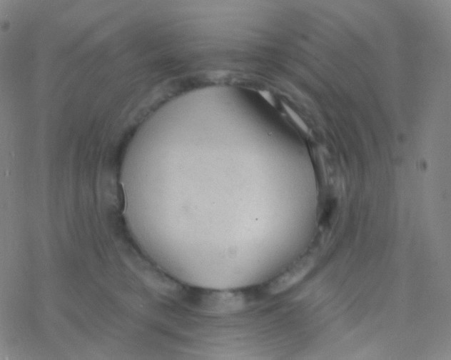 X0000076300421200610271919