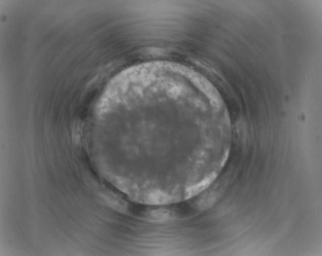 X0000076300423200610271919