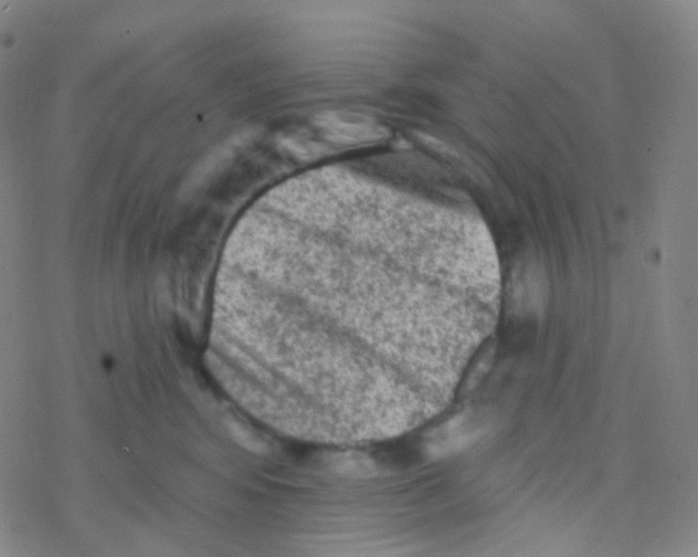 X0000076300424200610271919