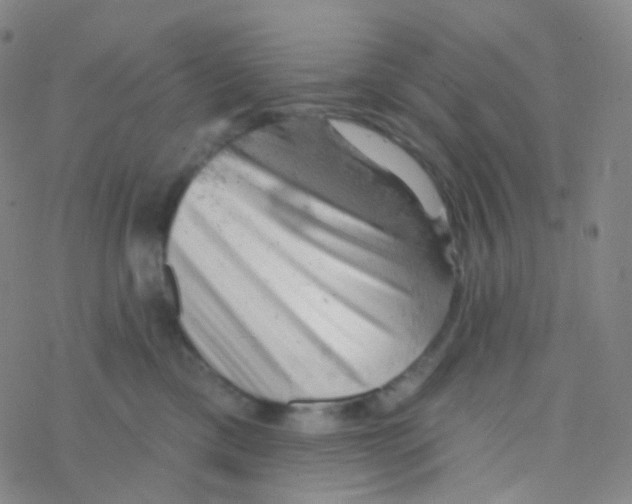 X0000076300425200610271919