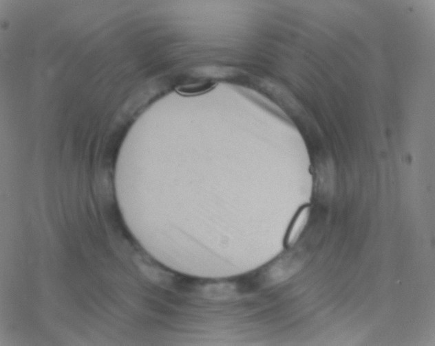 X0000076300426200610271919