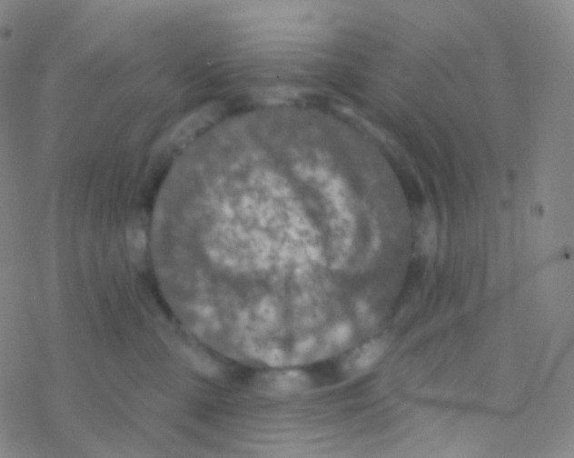 X0000076300427200610271919