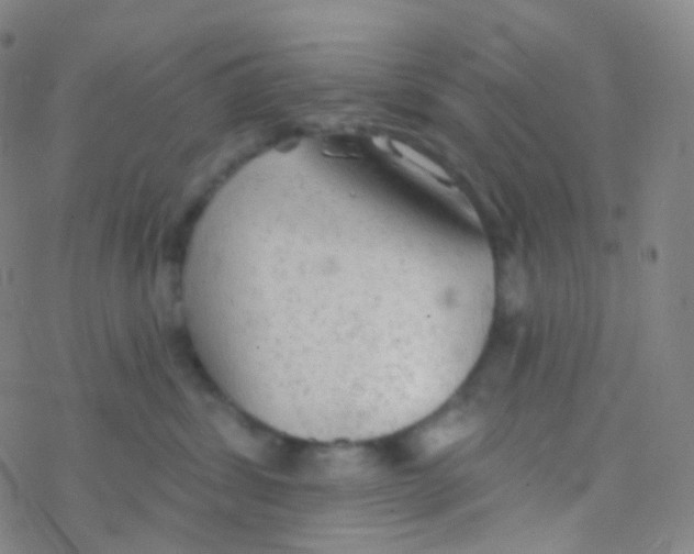 X0000076300428200610271919