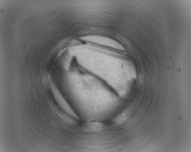 X0000076300429200610271919