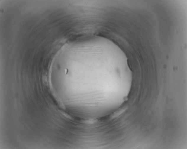 X0000076300432200610271919