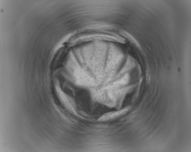 X0000076300436200610271918