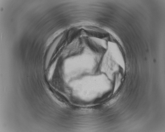 X0000076300437200610271918