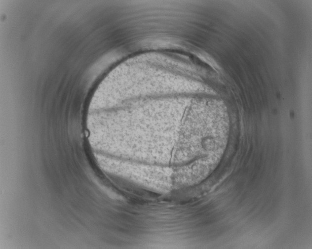 X0000076300438200610271918