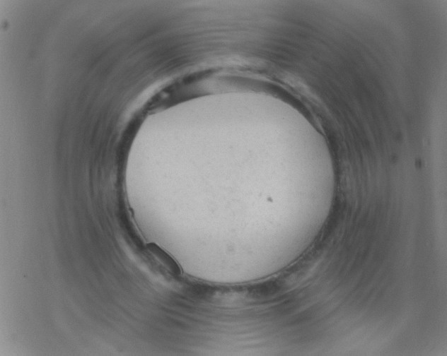 X0000076300440200610271918