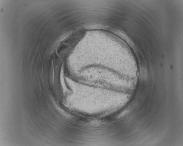 X0000076300441200610271918