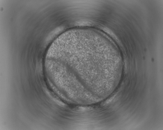 X0000076300442200610271918