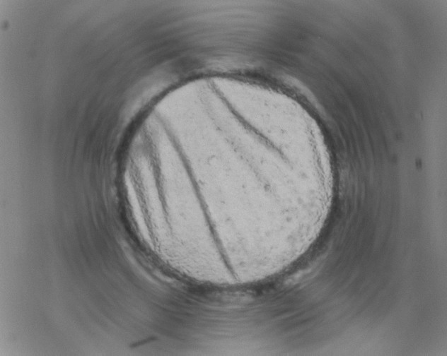 X0000076300443200610271918