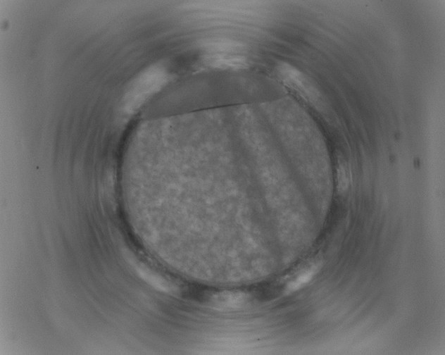 X0000076300444200610271918