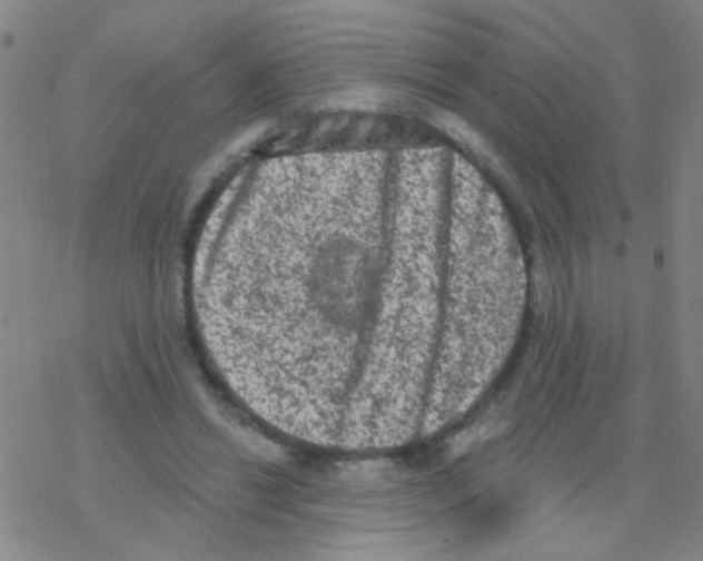 X0000076300446200610271918