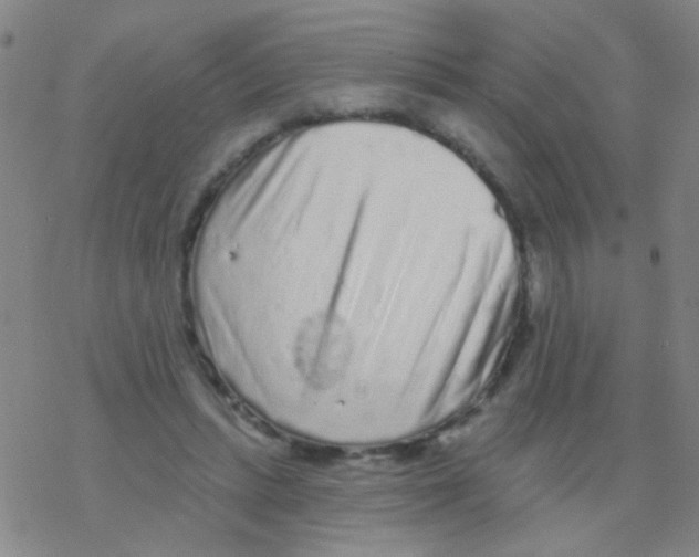 X0000076300447200610271918