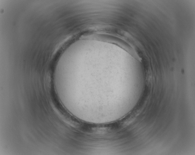 X0000076300448200610271918