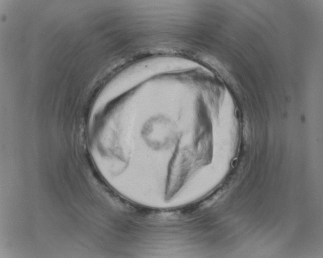 X0000076300449200610271918