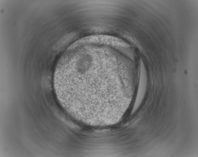 X0000076300450200610271918