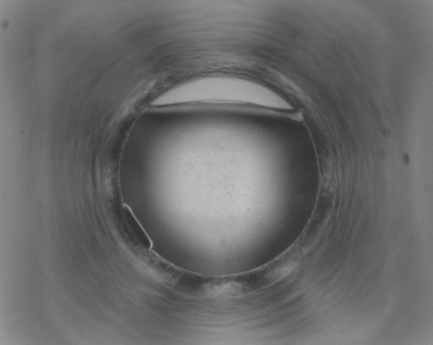 X0000076300452200610271918