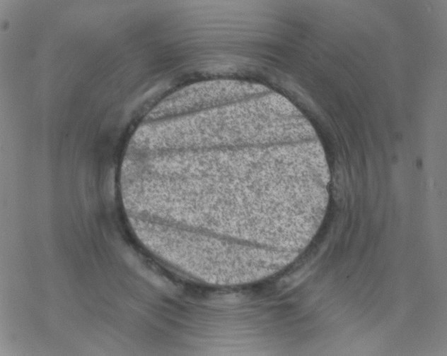 X0000076300454200610271918