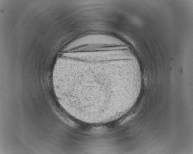 X0000076300455200610271918