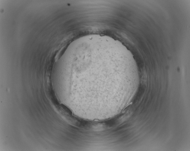 X0000076300456200610271918