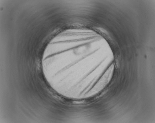 X0000076300457200610271918