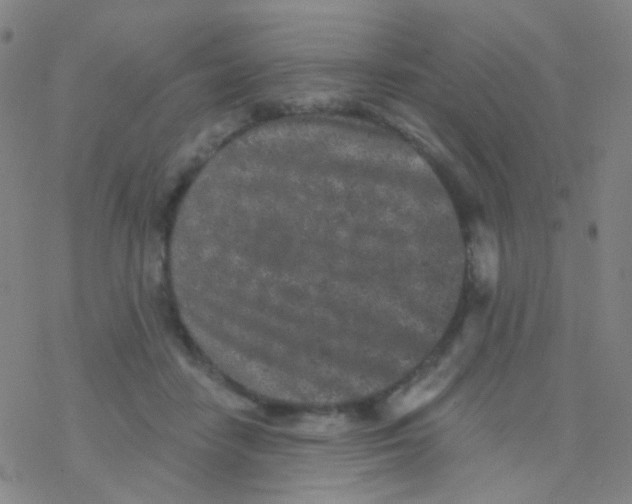 X0000076300458200610271918