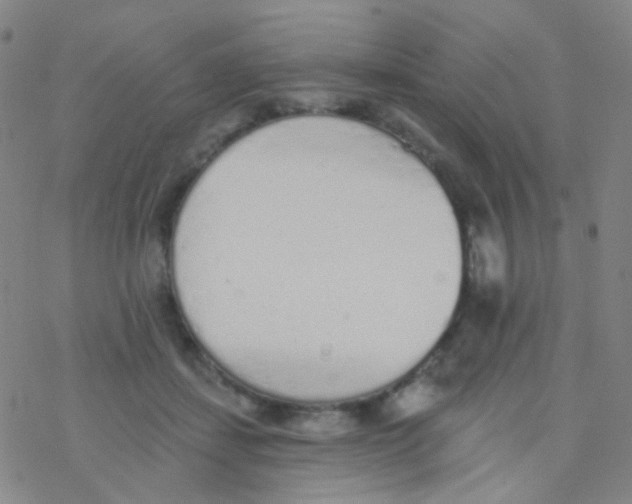 X0000076300459200610271918