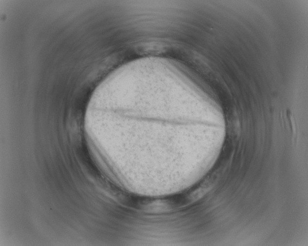 X0000076300460200610271918