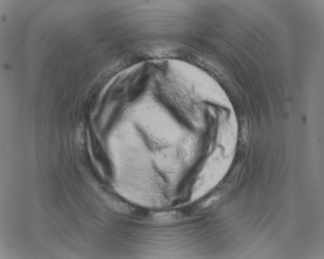 X0000076300461200610271918