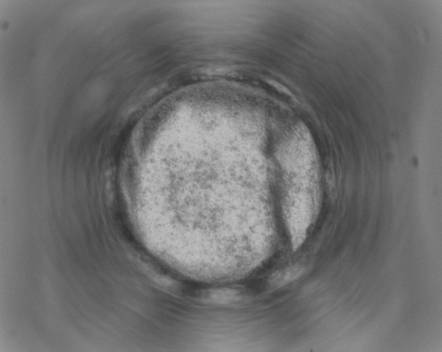 X0000076300462200610271918