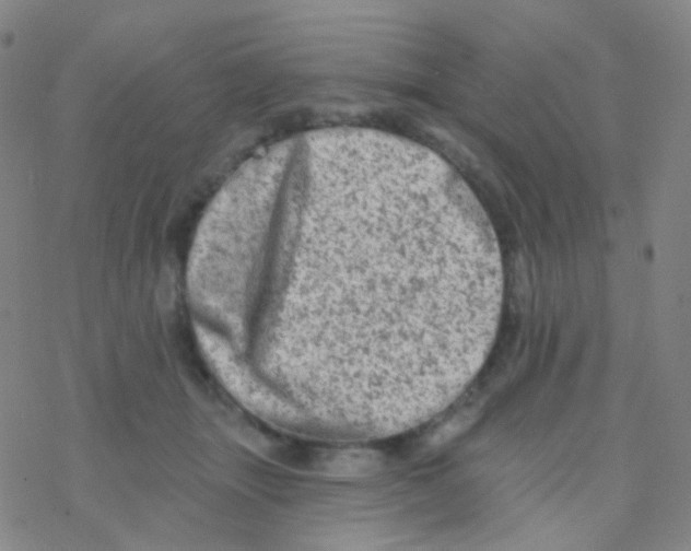 X0000076300463200610271918